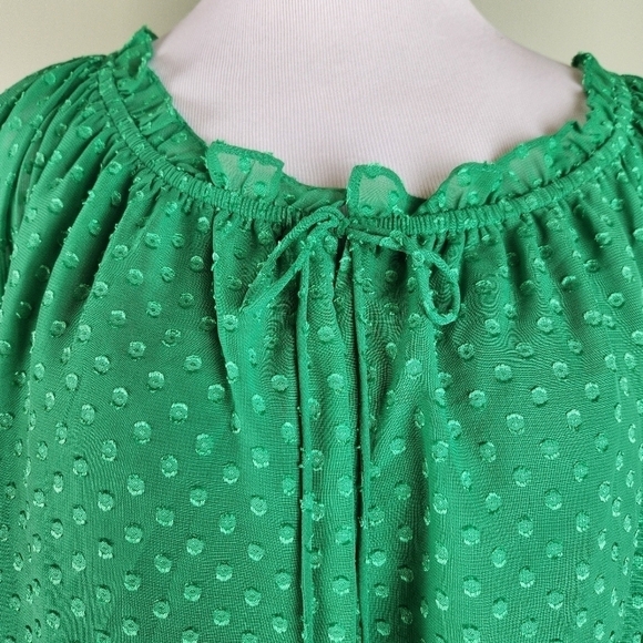 Cato swiss dot Blouse, sz 22/24 kelly green peasant fairy lagenlook oversized - Picture 4 of 10